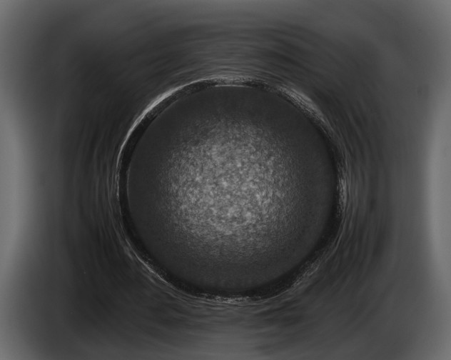 X0000085730484200703231051