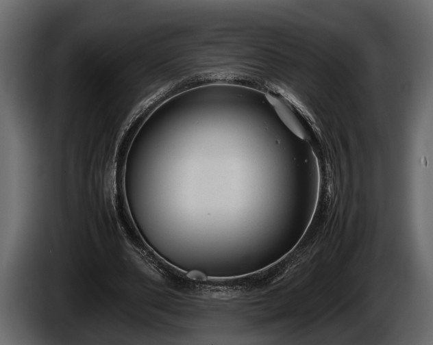 X0000085730486200703231051