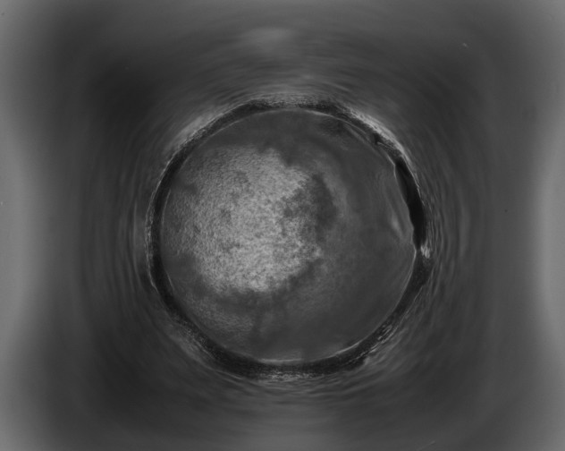 X0000085730487200703231051