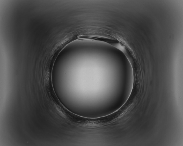 X0000085730489200703231051