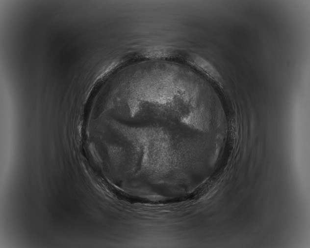 X0000085730491200703231051