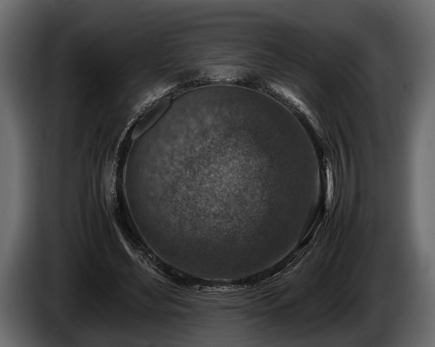 X0000085730492200703231051