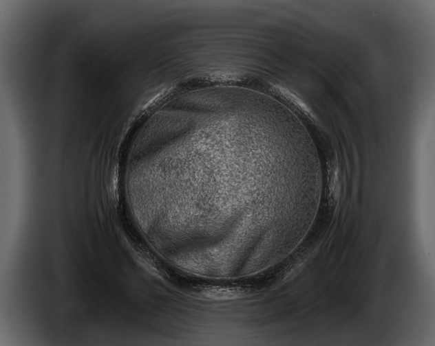 X0000085730494200703231051