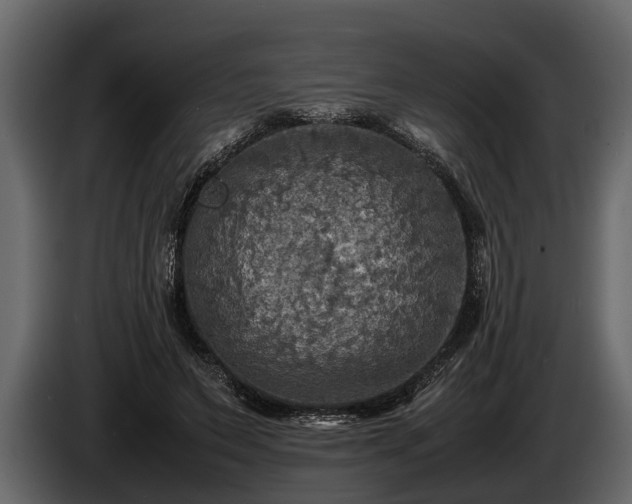 X0000085730495200703231051