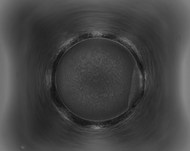 X0000085730496200703231051