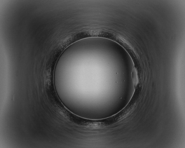 X0000085730497200703231051