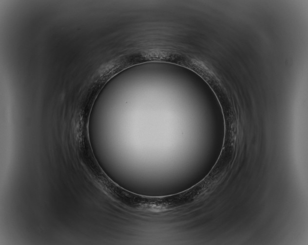 X0000085730498200703231051