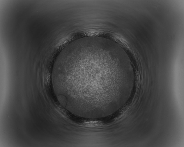 X0000085730499200703231051