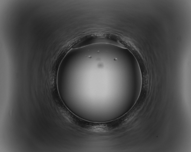 X0000085730505200703231051