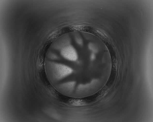 X0000085730507200703231051