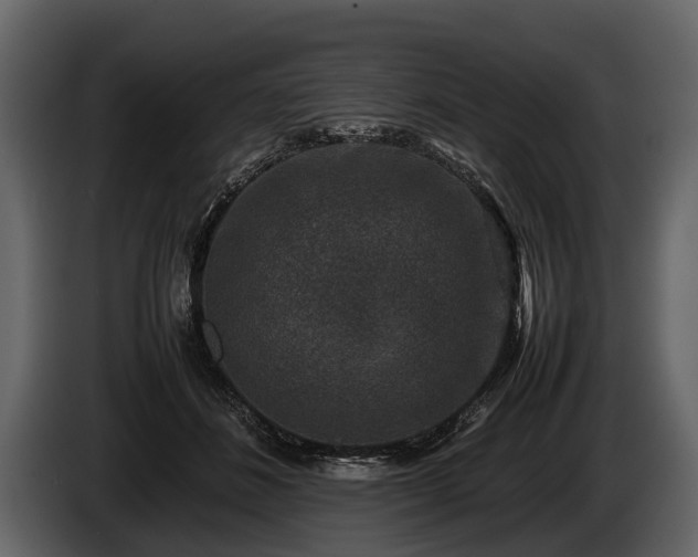 X0000085730508200703231051