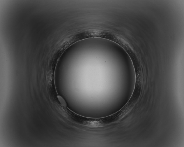 X0000085730509200703231051