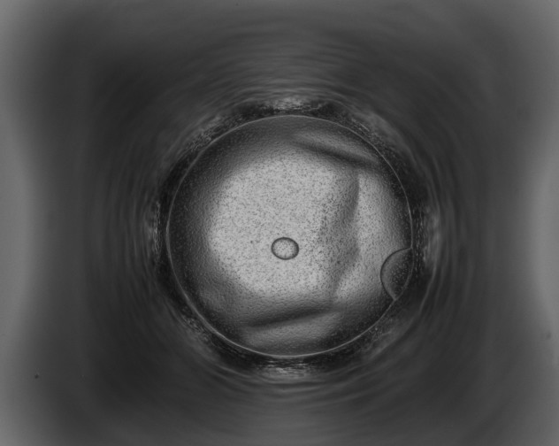 X0000085730510200703231051