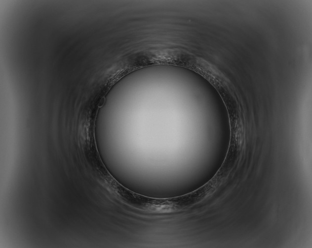 X0000085730514200703231051