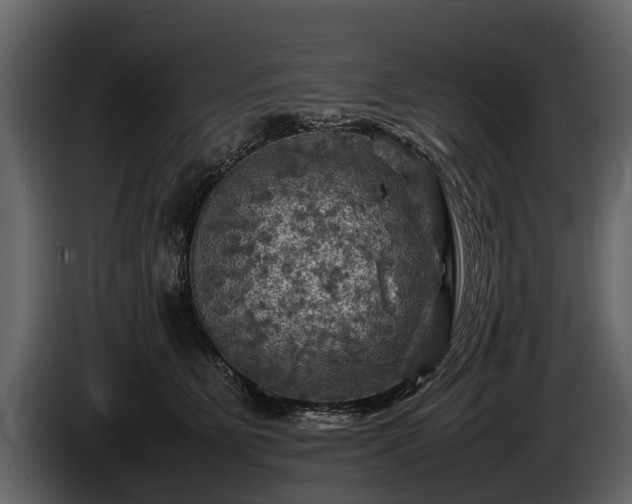 X0000085730515200703231051