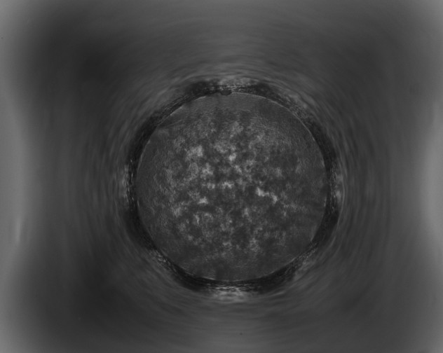 X0000085730519200703231051