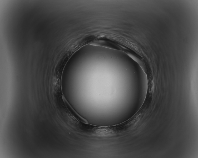 X0000085730521200703231051