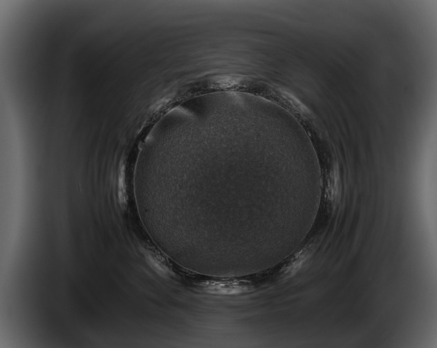 X0000085730524200703231051