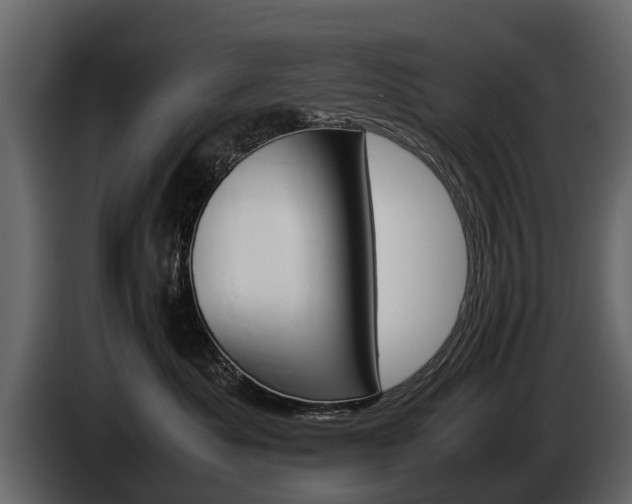 X0000085730525200703231051