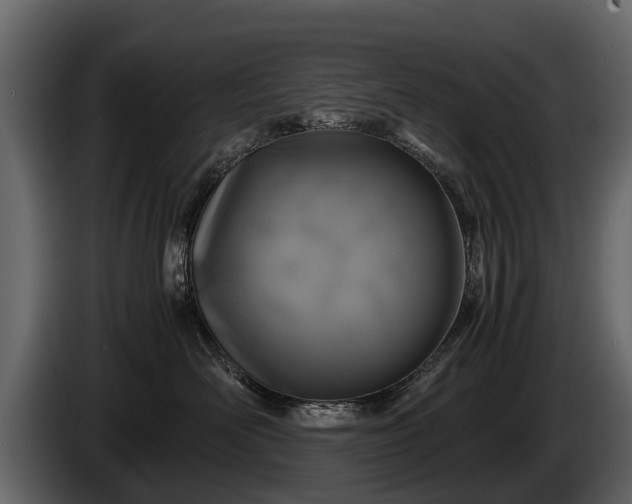 X0000085730526200703231051