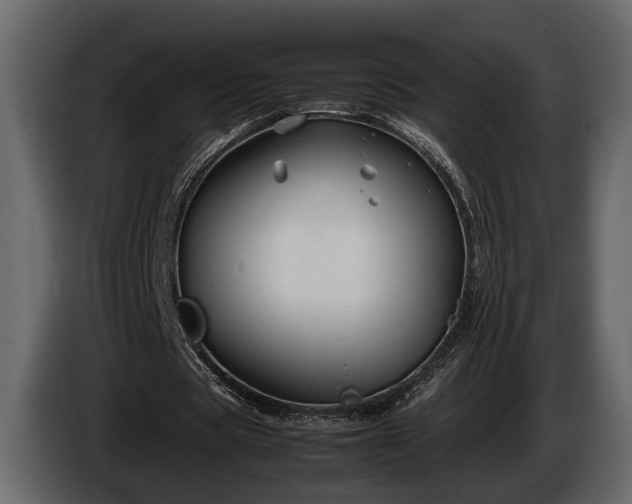 X0000085730529200703231050