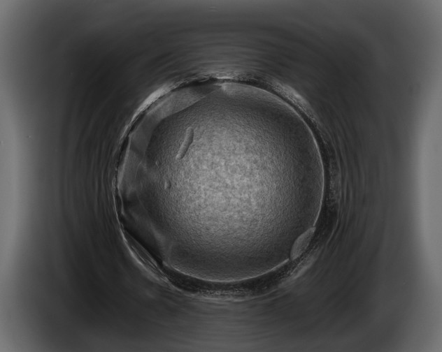 X0000085730530200703231050