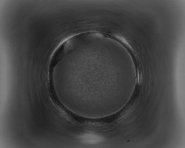 X0000085730531200703231050