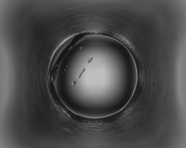 X0000085730532200703231050