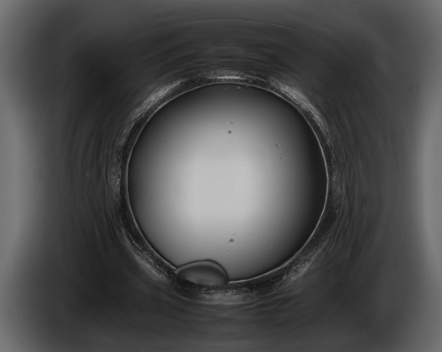 X0000085730533200703231050