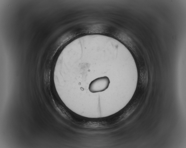 X0000085730534200703231050