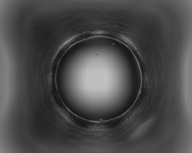 X0000085730535200703231050