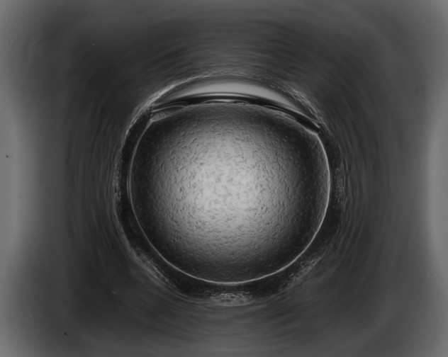 X0000085730536200703231050