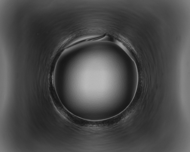 X0000085730538200703231050