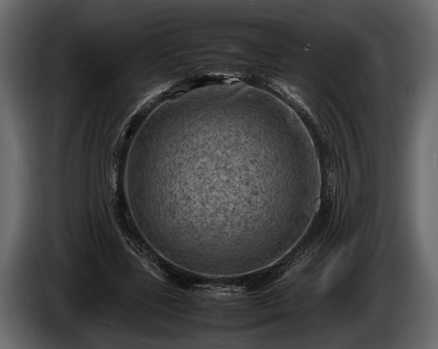 X0000085730539200703231050