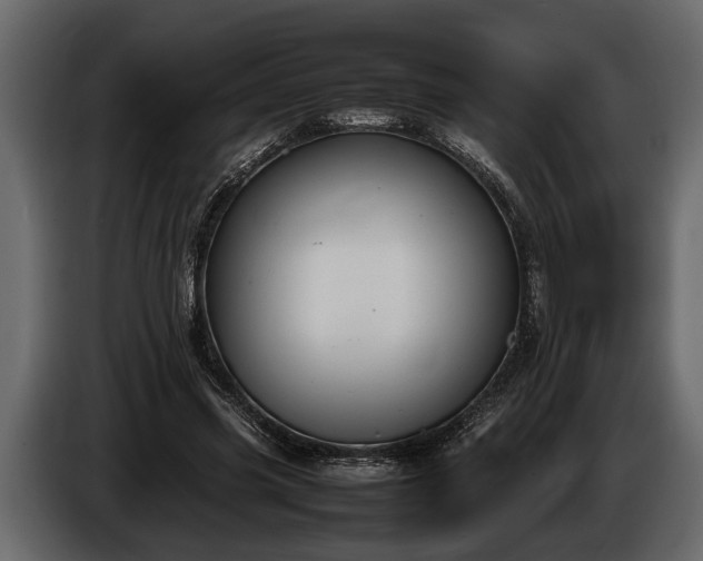 X0000085730541200703231050