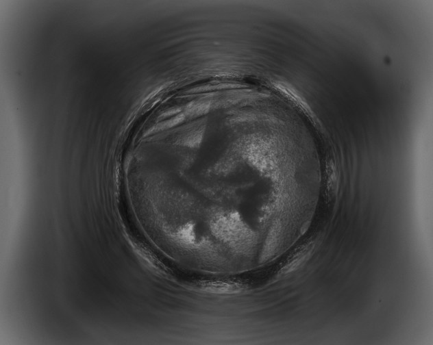 X0000085730542200703231050