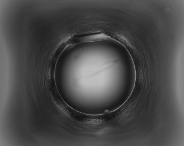 X0000085730543200703231050