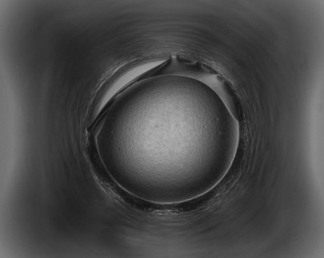 X0000085730544200703231050