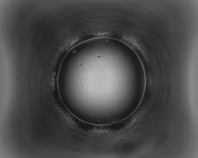 X0000085730545200703231050