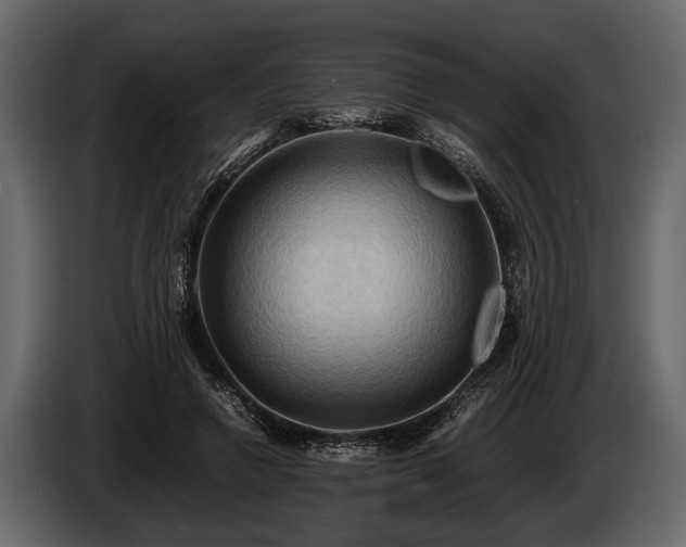 X0000085730546200703231050