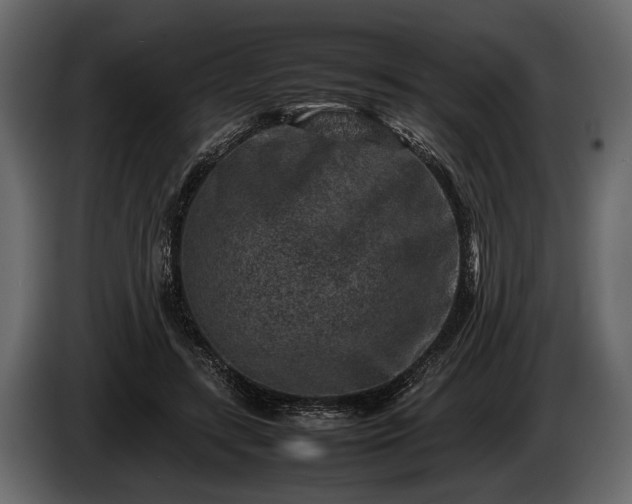 X0000085730547200703231050