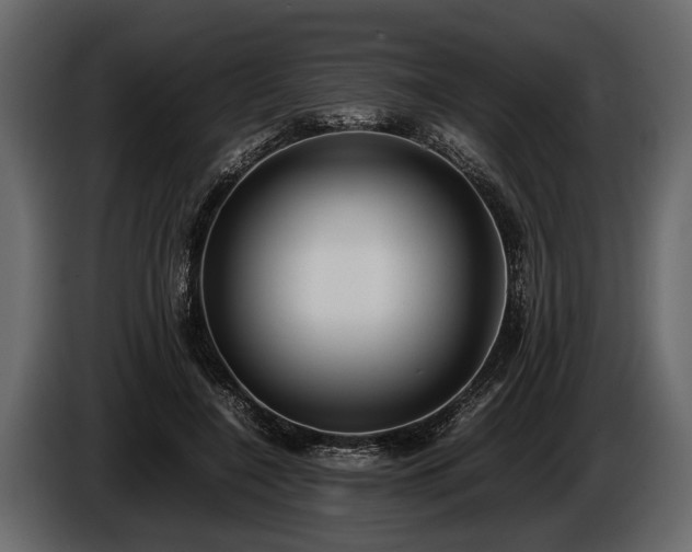 X0000085730548200703231050