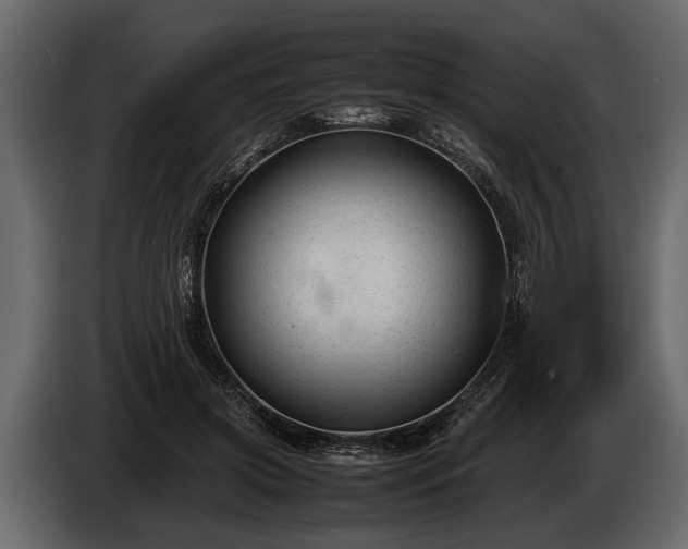 X0000085730549200703231050