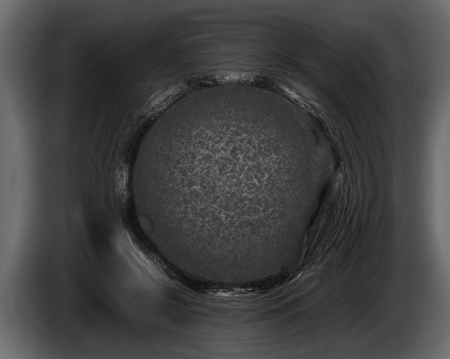 X0000085730550200703231050