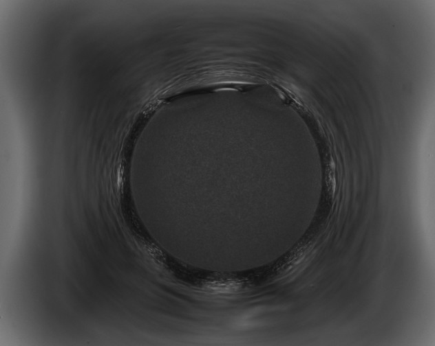 X0000085730551200703231050