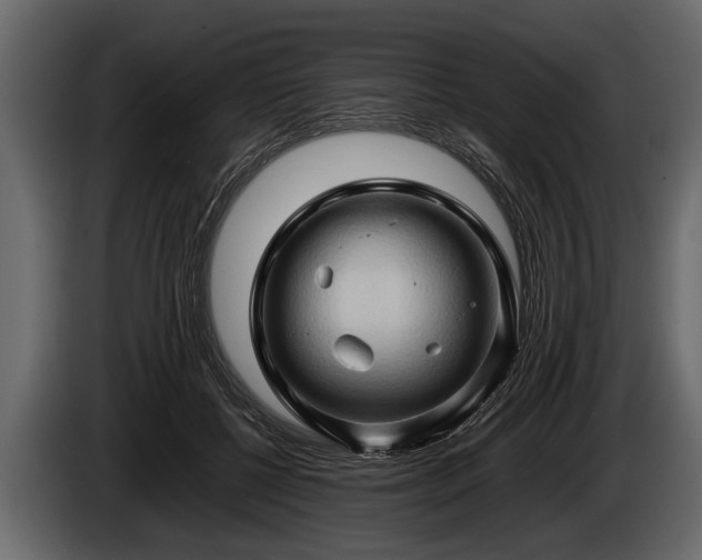 X0000085730552200703231050