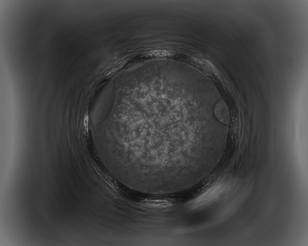 X0000085730553200703231050