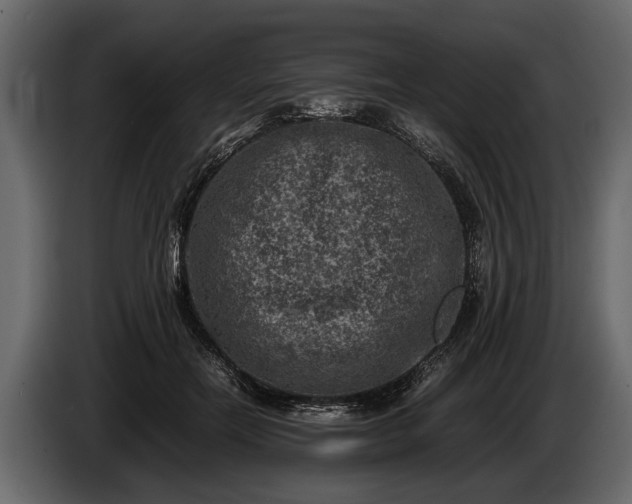 X0000085730554200703231050