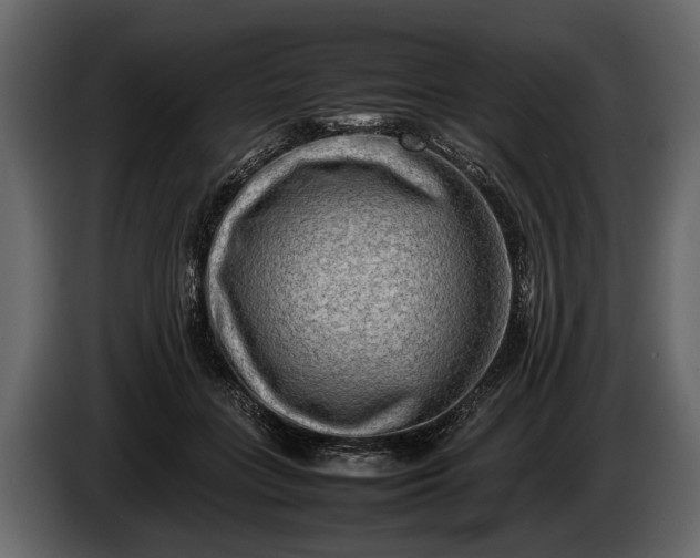 X0000085730555200703231050