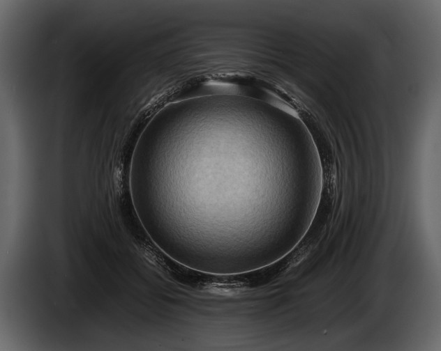 X0000085730556200703231050